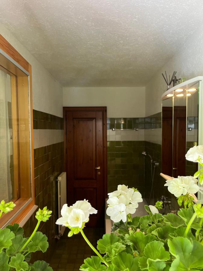 Chalet Blanc "Le Flocon" Courmayeur Bagian luar foto