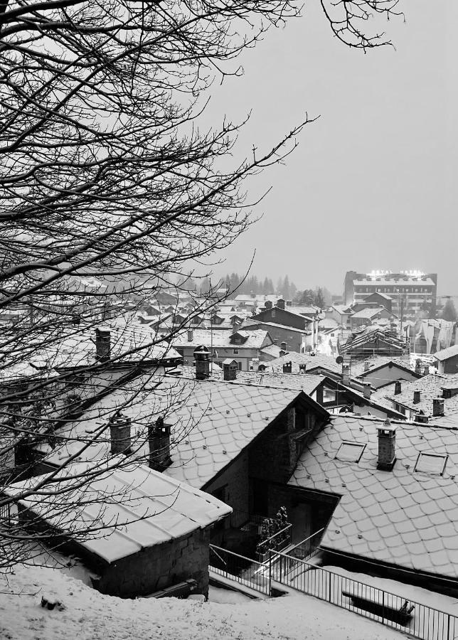 Chalet Blanc "Le Flocon" Courmayeur Bagian luar foto