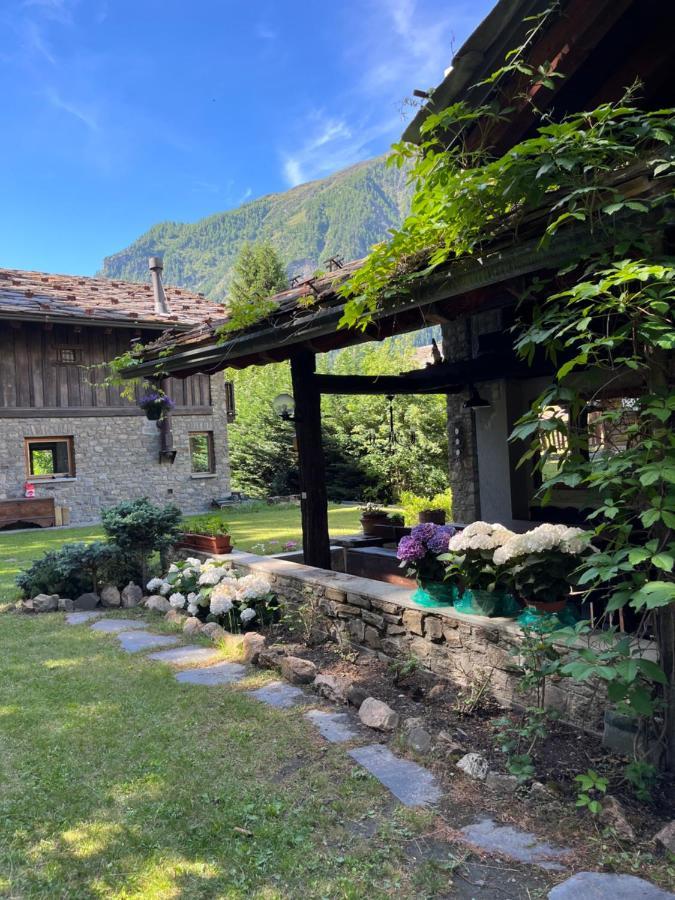 Chalet Blanc "Le Flocon" Courmayeur Bagian luar foto