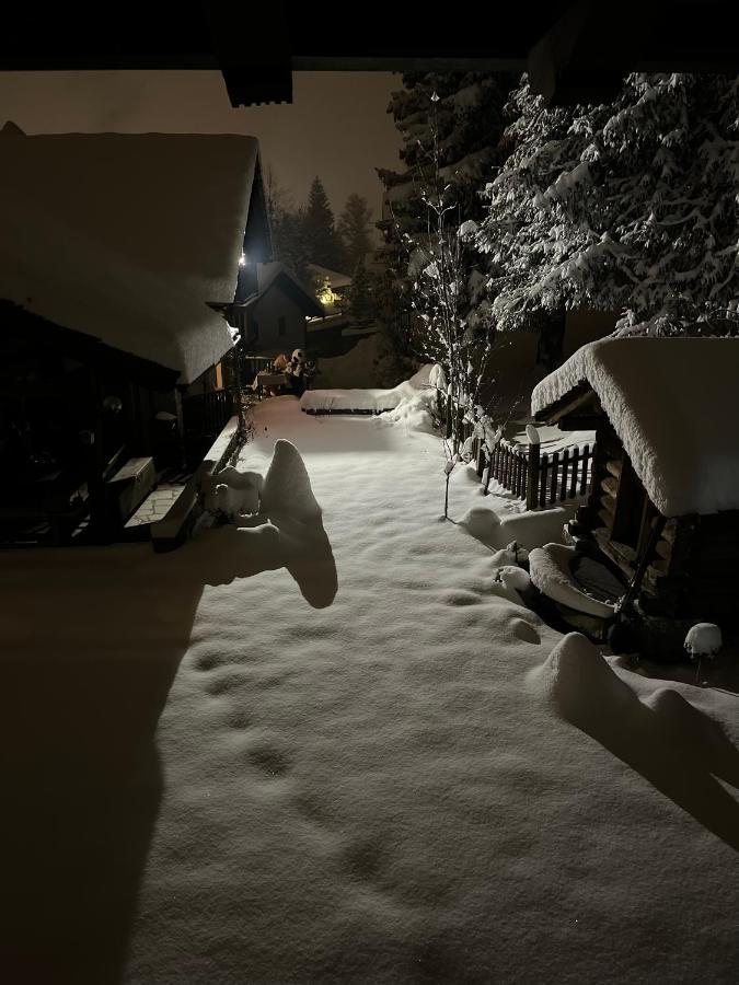 Chalet Blanc "Le Flocon" Courmayeur Bagian luar foto